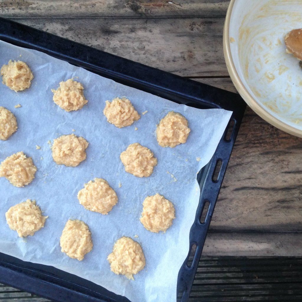 Uncooked coconut biscuits
